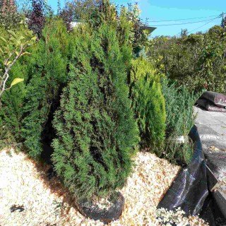 IMG-c7cf61c93aa2a4ce50b1c4d23907c205-V