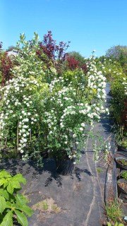 IMG-cb701ad632502962a599b2a723ff63c5-V