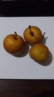 IMG-cc8ef9900fe74e43df0f189493477235-V