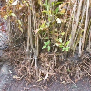 IMG-d662dfea760e6f366adc8781207d6a80-V