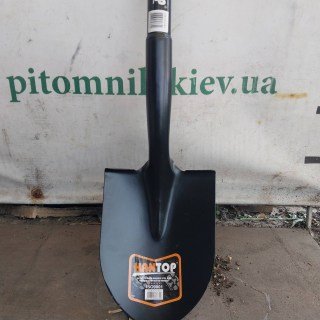 IMG-e4b5a58ce19cc0d238268bbc85c8df58-V