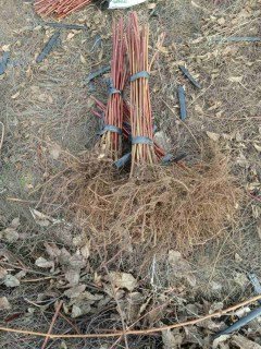 IMG-e91ae748940889c7d3df74e6e178cb9c-V76