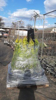 IMG-f078e81210204a0ab1d81033d80d48e0-V