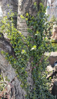 IMG_20230410_12593093588