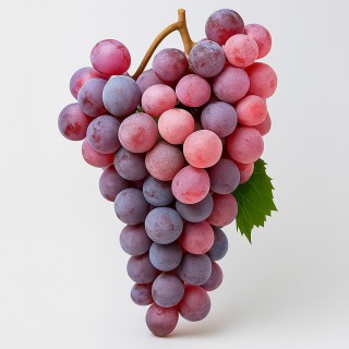 Vinograd-Udachnyj-02