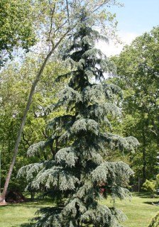 _I_2106b3&W_1e0&H_280&T_false&V_-1938dcf1__16131