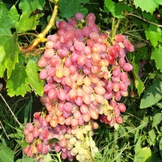 b0fd7a4298abb3e7eb03f23892fd53c3