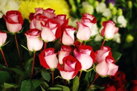 b960adba95882249aee455aa0d79a378