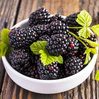 blackberry-plack-perl-02