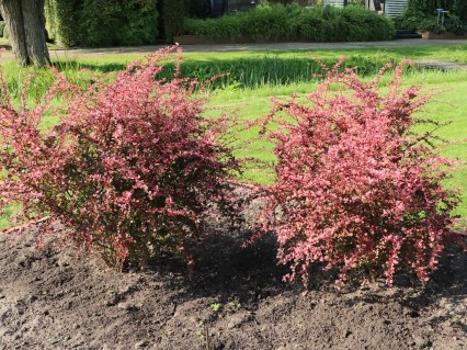 c45be7397bf99d13654fde2b24e557ed24