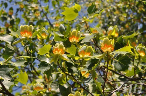 cfd05d2ab84927a2d9d79f22b9c7d4de557933f3