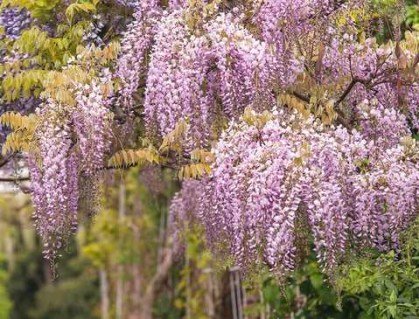 cqg7hhpgx56mgurrnzo5u47rxmrvoe8b