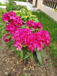 d7a2fbec95ec0192c99d1ad0bf10e70c