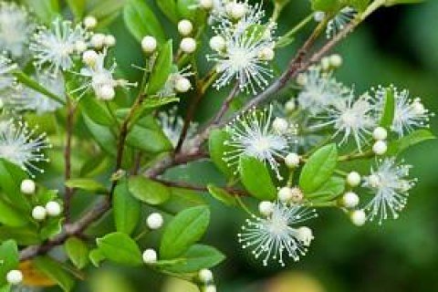 e330614789e78c23e9325fd6068b2ebc