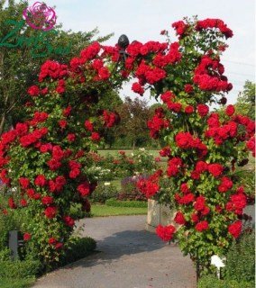 f88a70b7e2e760264d5dce6524c631e5