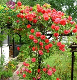 f8e4961c837c333c33ddb5130fc4bdeb