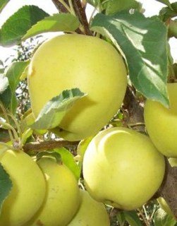 full_c736378fb9b81319b104f4f69a4f4fd7