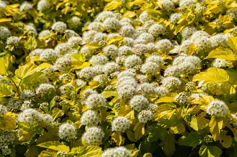 istockphoto-1326473861-170667a