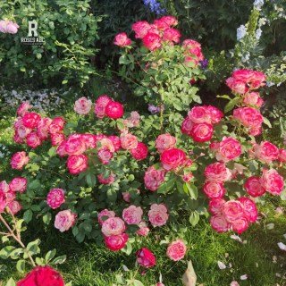 jubile-du-prince-de-monaco-01