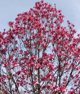 l_0d4f6e20-09b4-445b-8f12-6c64d3fe7878