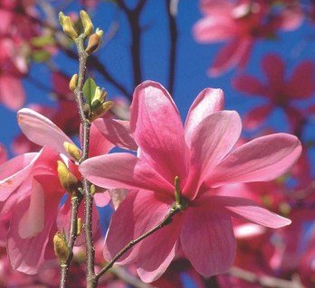 l_99dd89ad-2fdd-4447-abff-32bf732b93bc