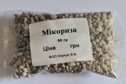 mikroriza-2