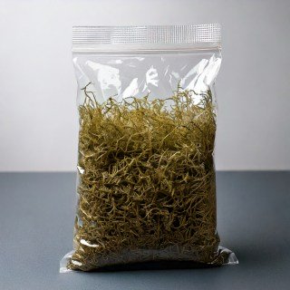 Мох сфагнум