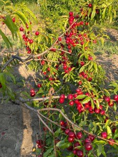 photo_2023-07-10_23-13-52