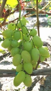 podarok-energodaru-min