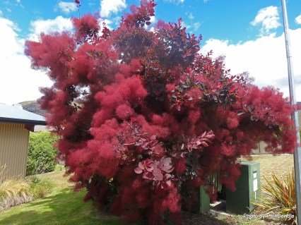 Не встановлено зображення 