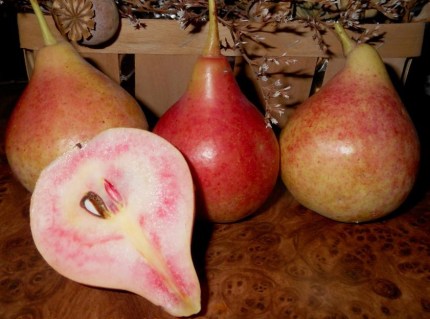 user31990pic1897491441103190-jpg