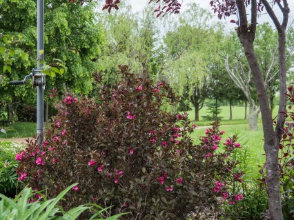 vejgela-aleksandra-02